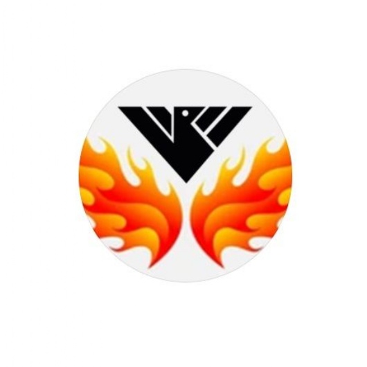 Phoenix flames logo for pe